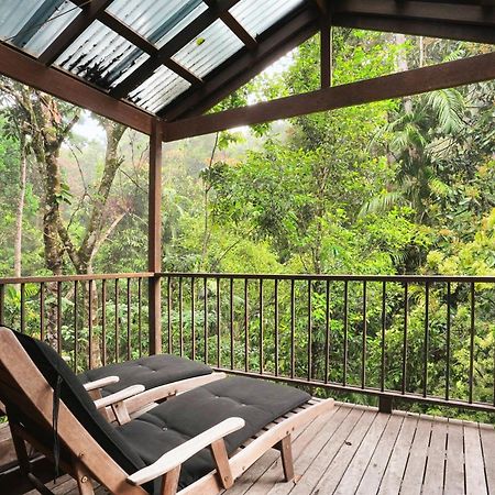 Вілла Kuranda Rainforest Chalet Екстер'єр фото