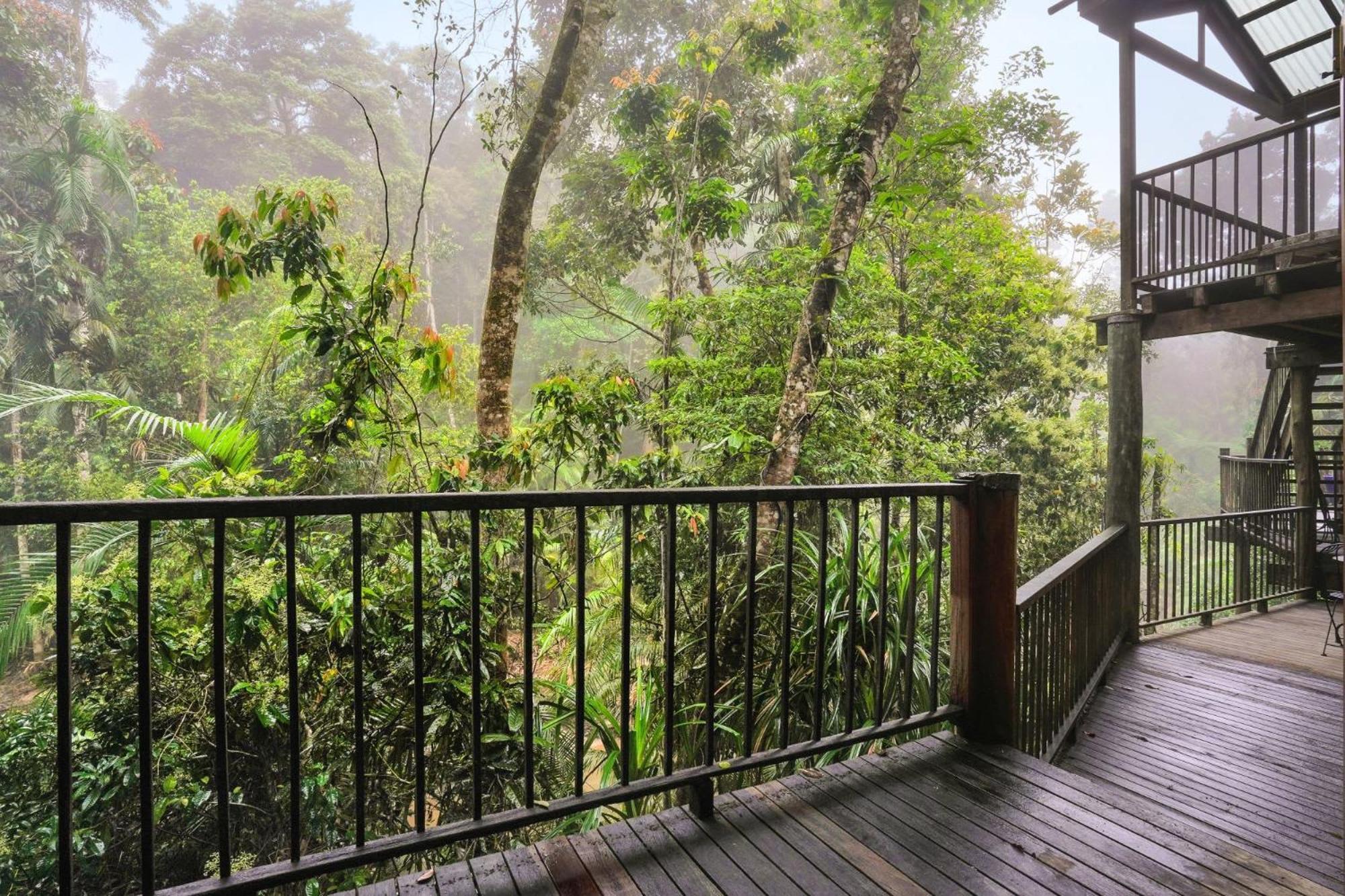 Вілла Kuranda Rainforest Chalet Екстер'єр фото