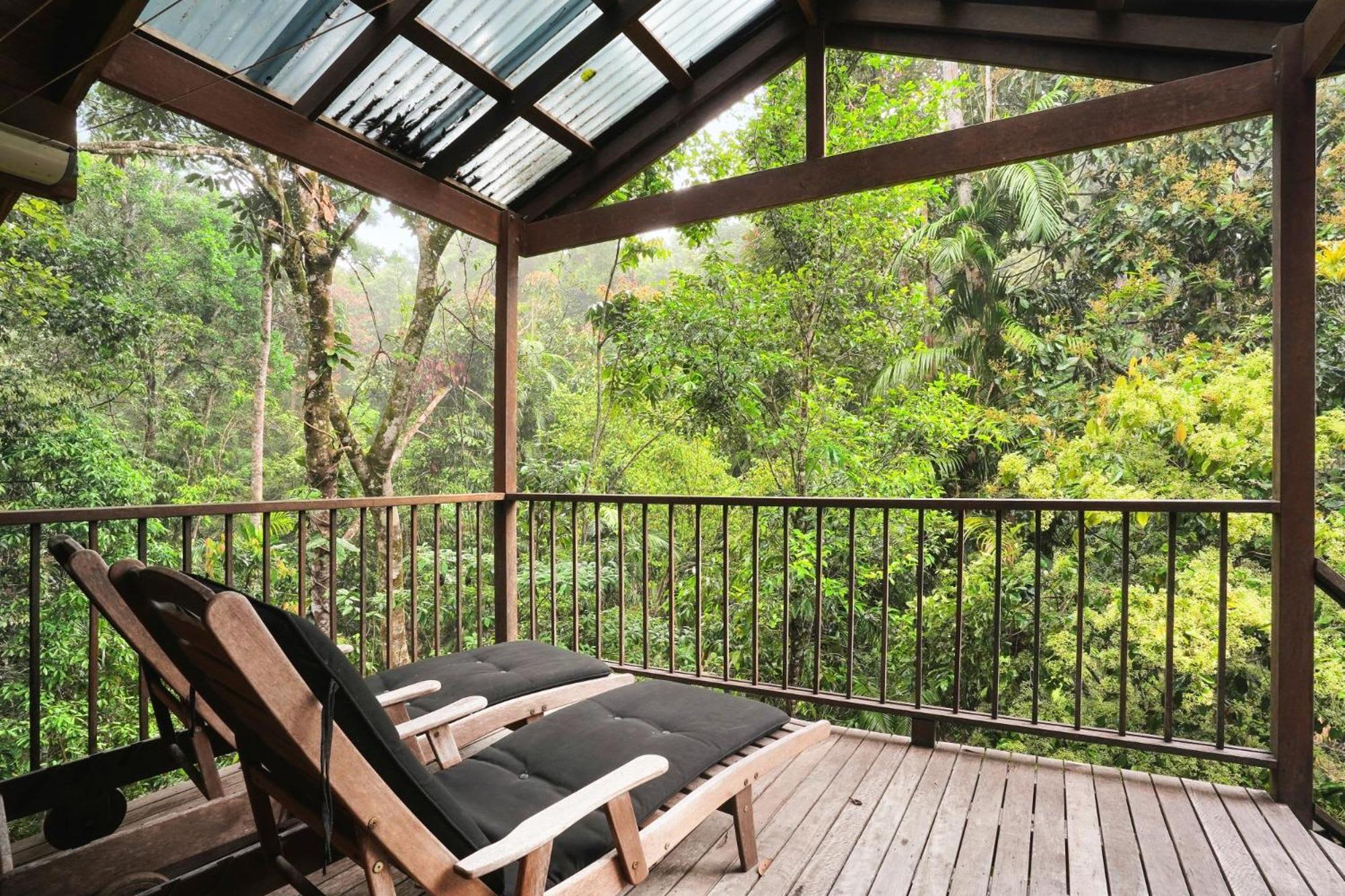 Вілла Kuranda Rainforest Chalet Екстер'єр фото