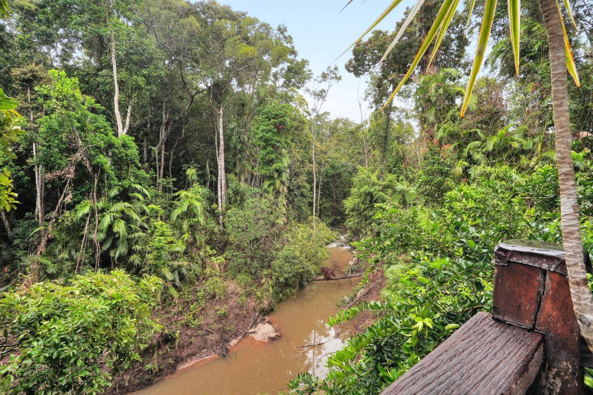 Вілла Kuranda Rainforest Chalet Екстер'єр фото